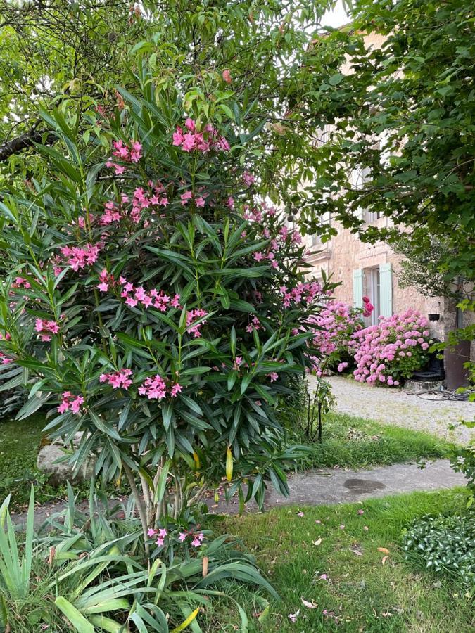 La Maison D'Hortense Et Lili Allemans Exterior foto